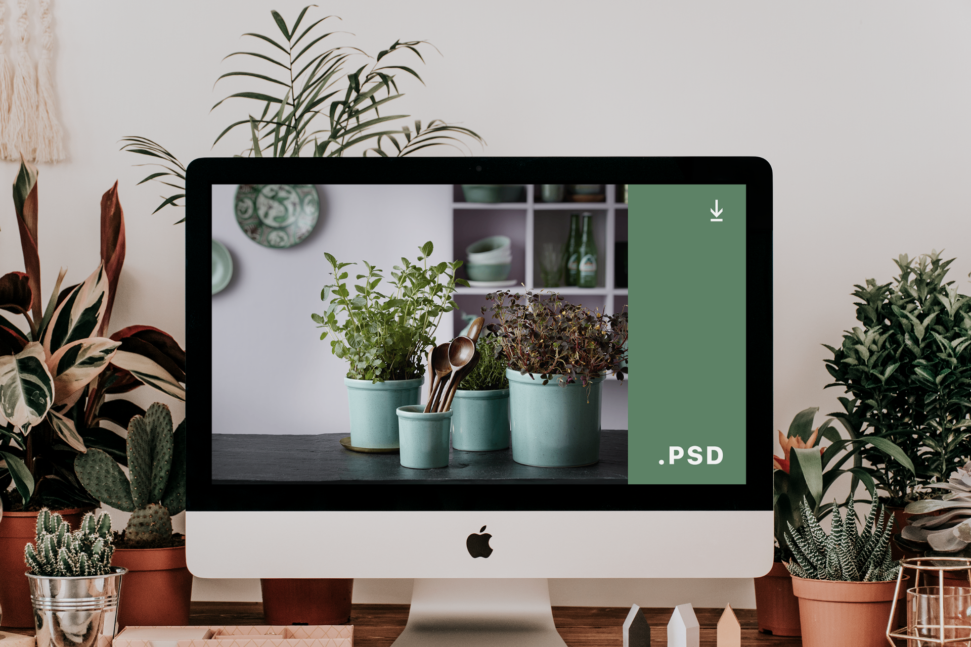 B2B-shop vist på iMac